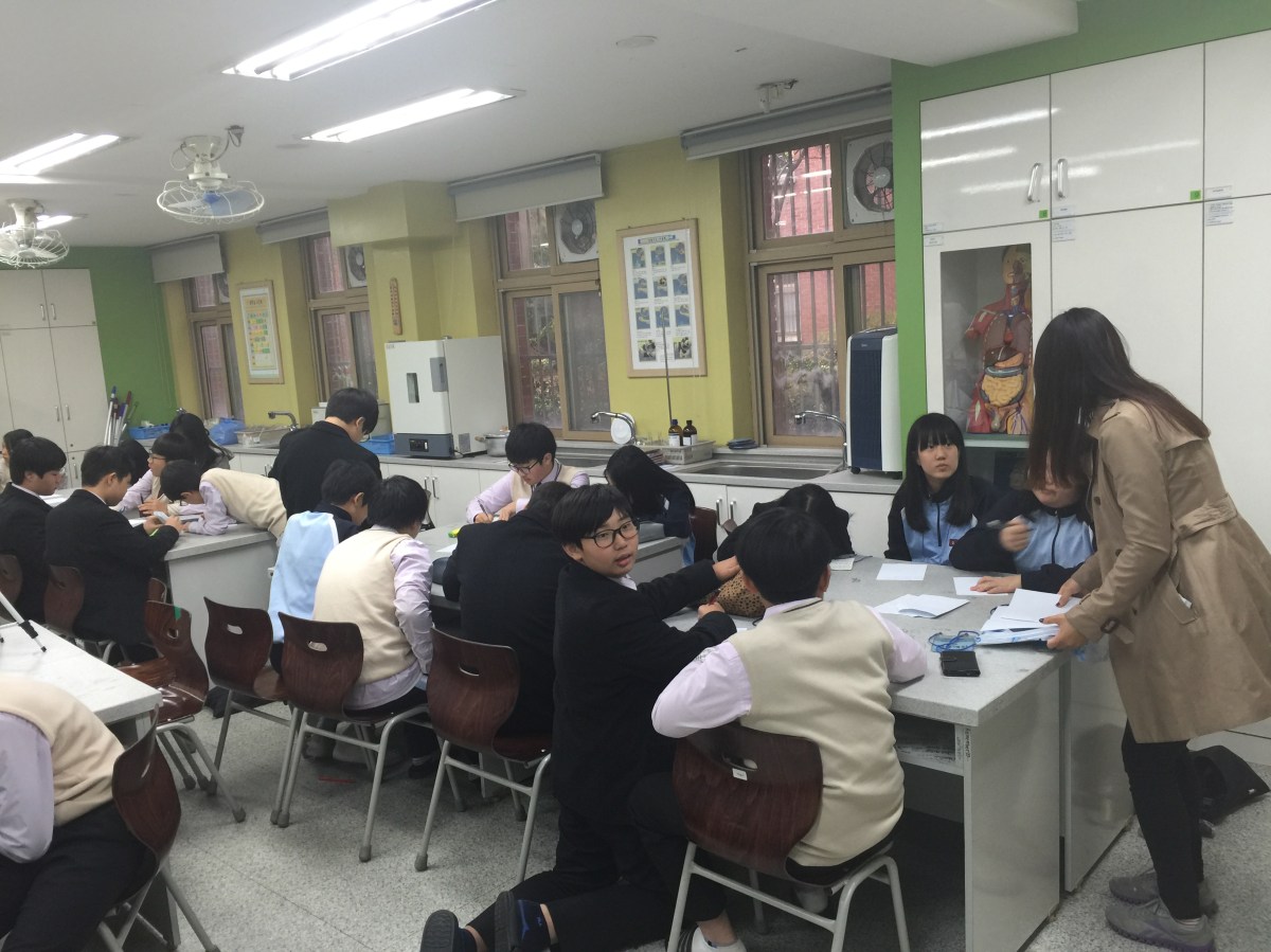 열두빛깔 무지개 –&nbsp;4