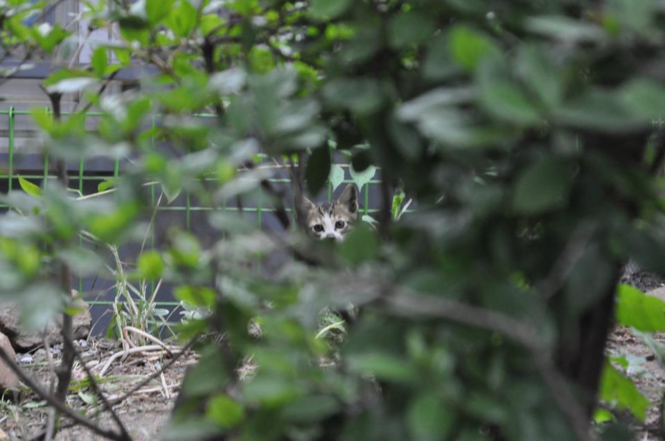 이름 없는 자의&nbsp;#metoo