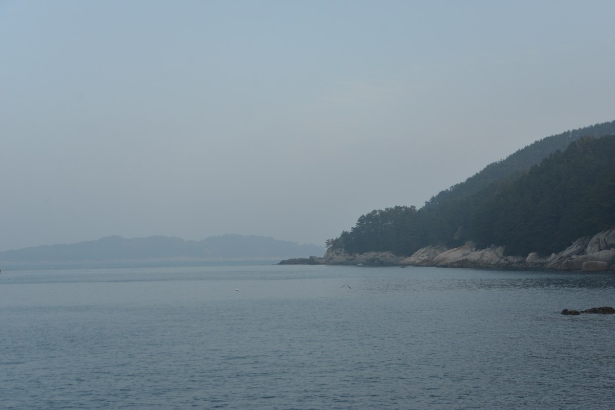 거제 낚시 (2018,3)