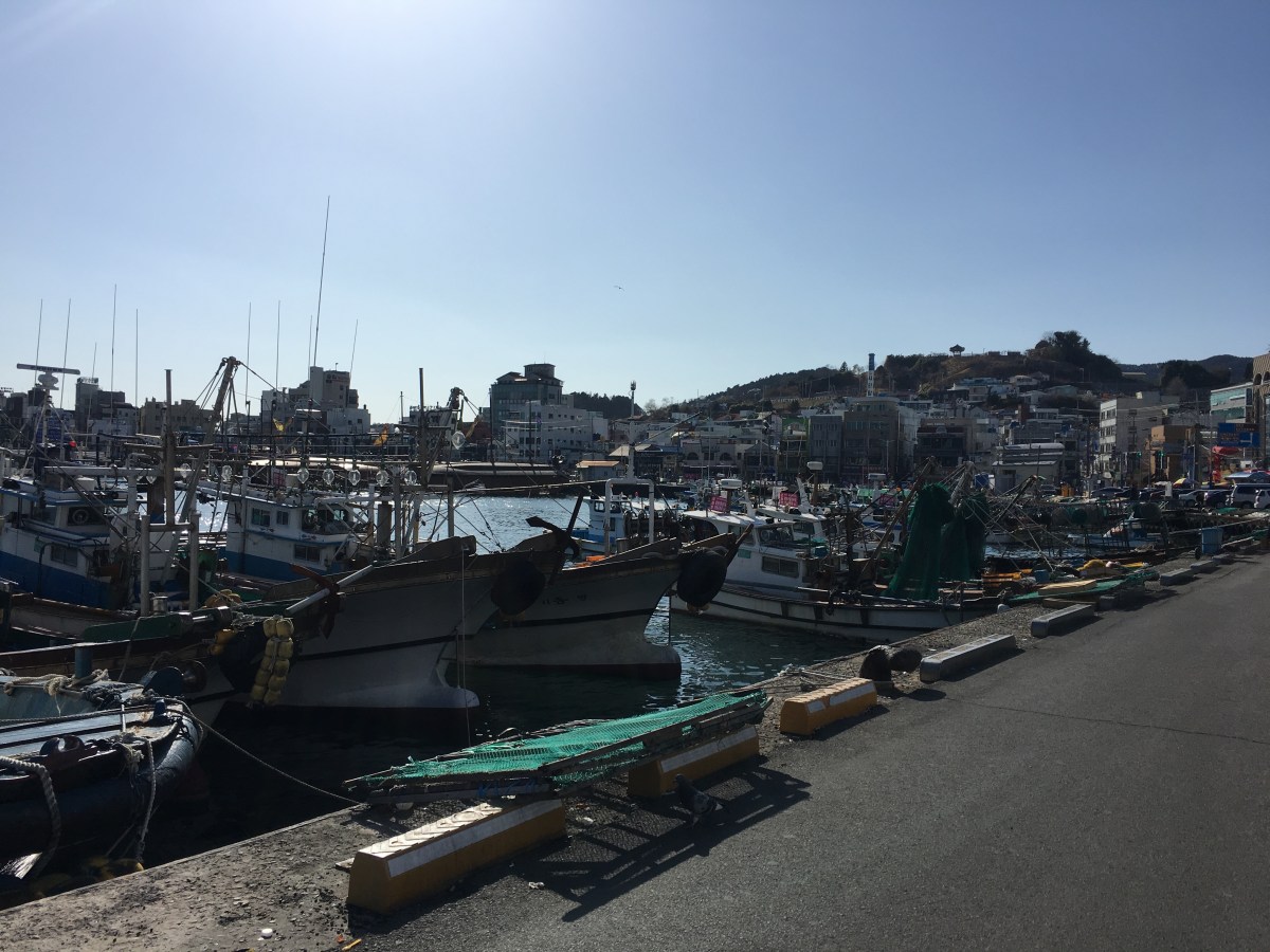 통영활어시장, 나의 비겁