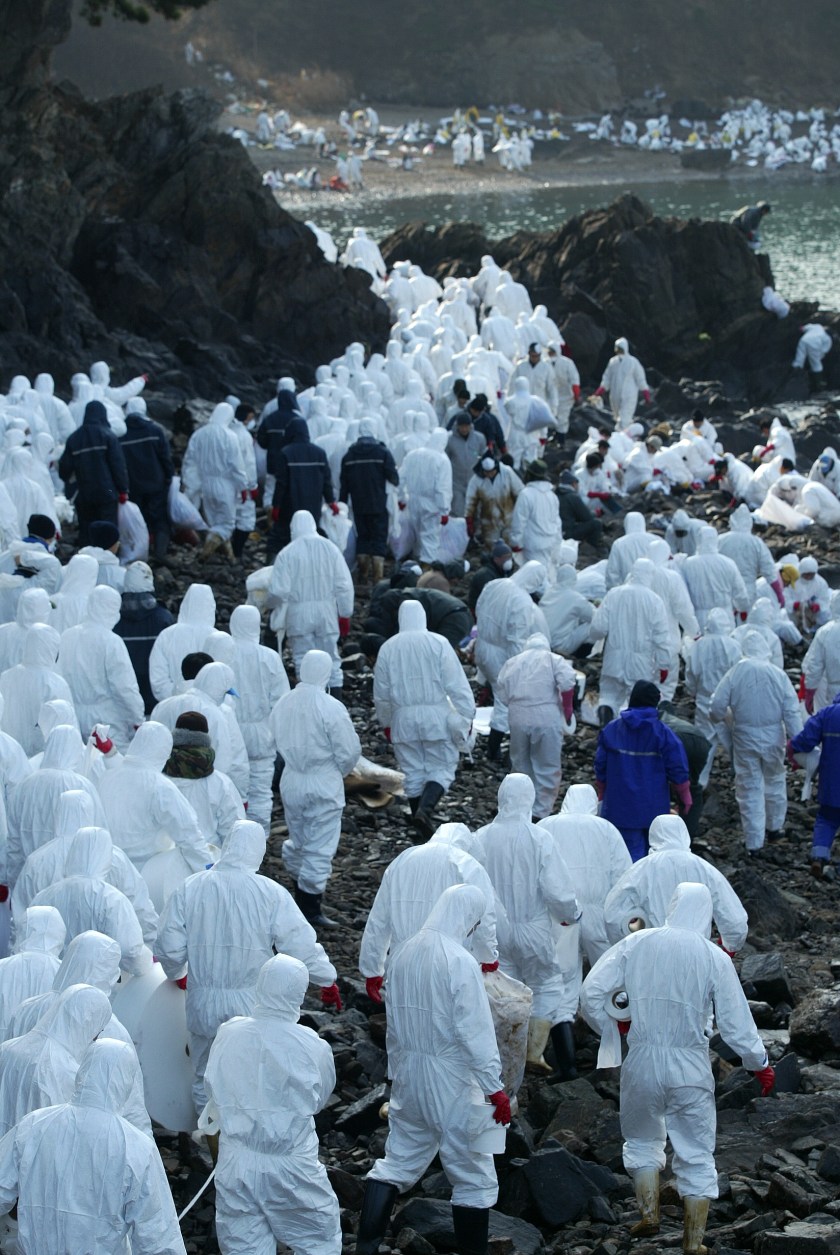 의항 밧고개 (7)