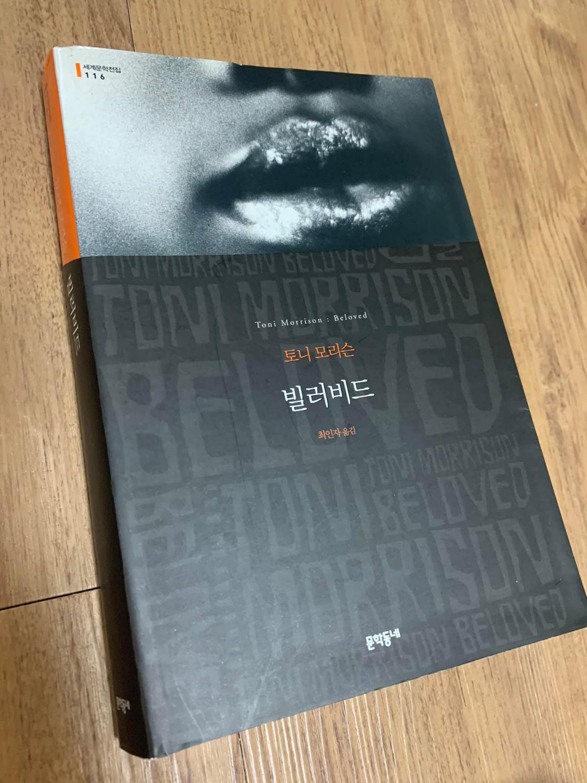 [책]빌러비드 – 토니&nbsp;모리슨