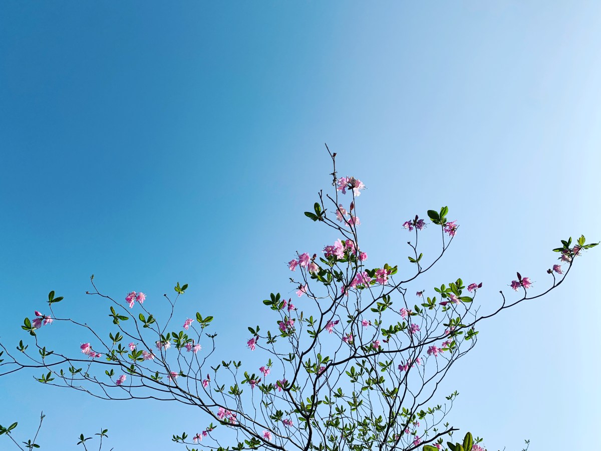 [강좌후기]정신건강보건센터 7회기