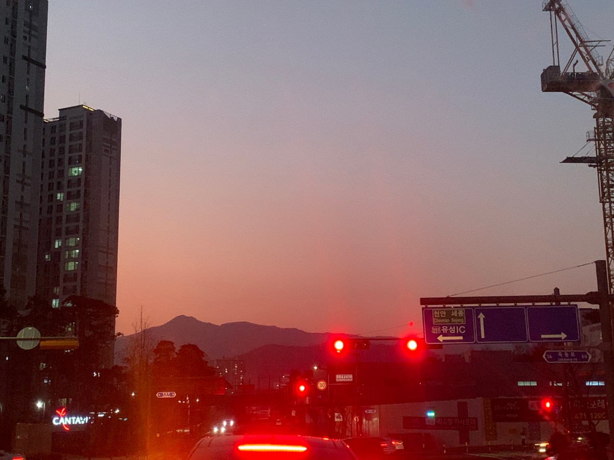 사고를 기다리는 일