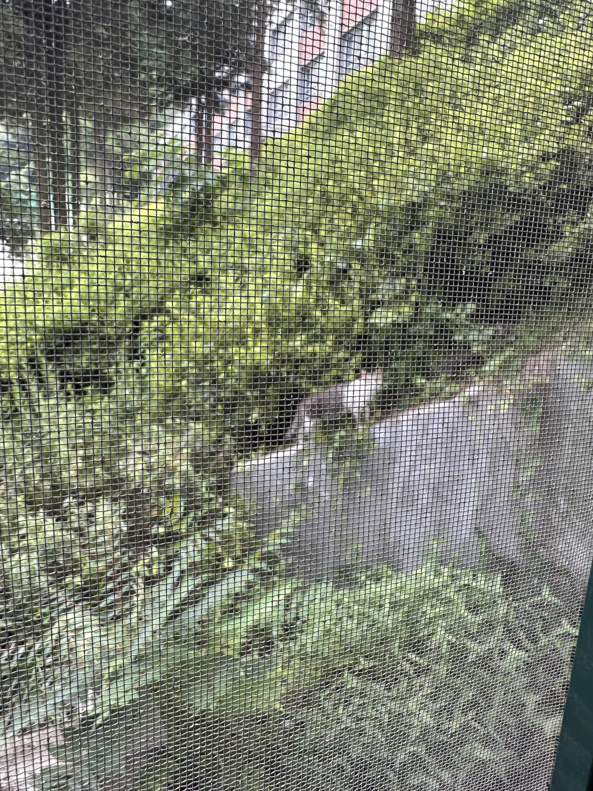 [강좌후기]뇌신경장애