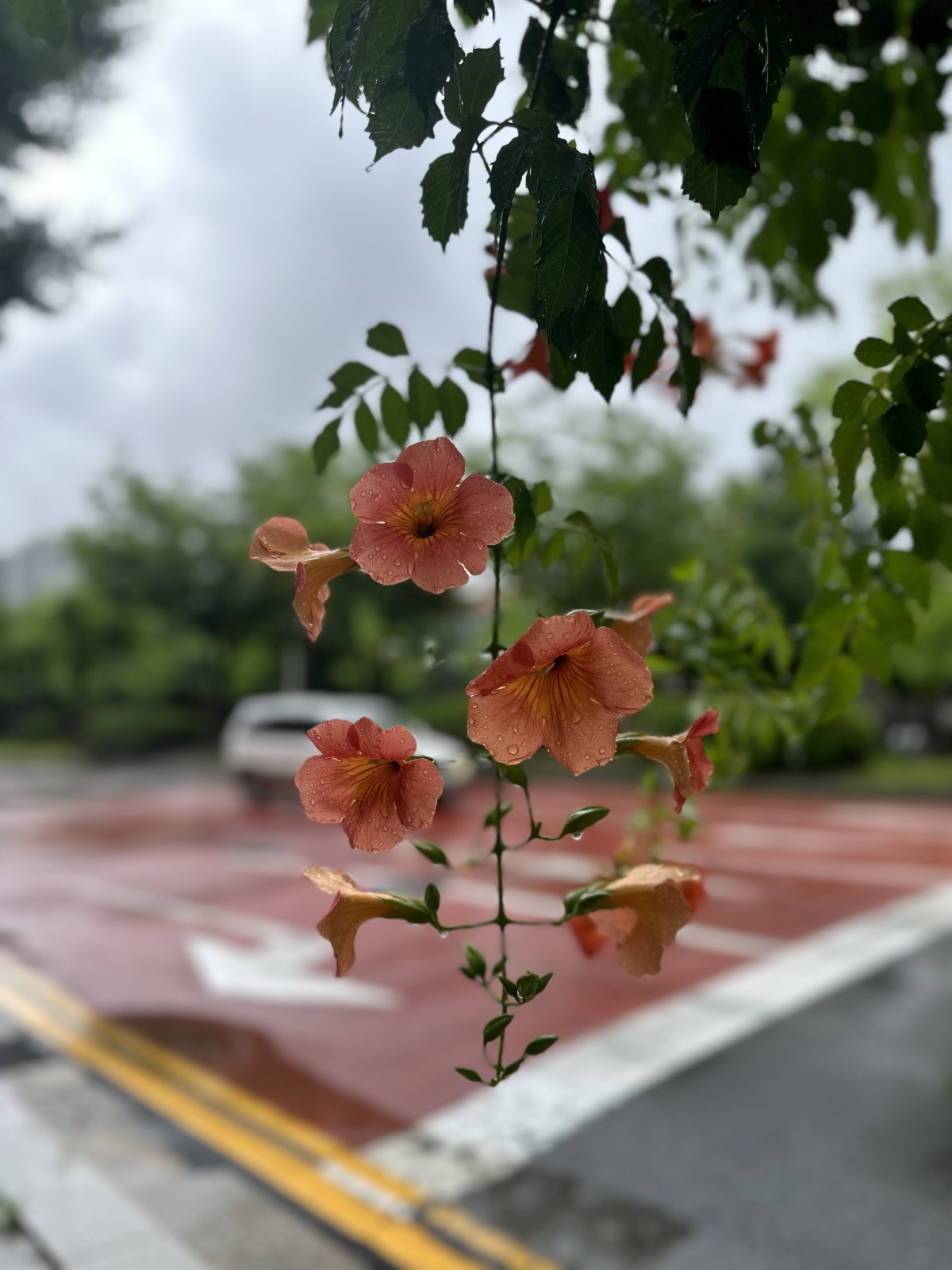 [강좌후기]모두가 인간이라