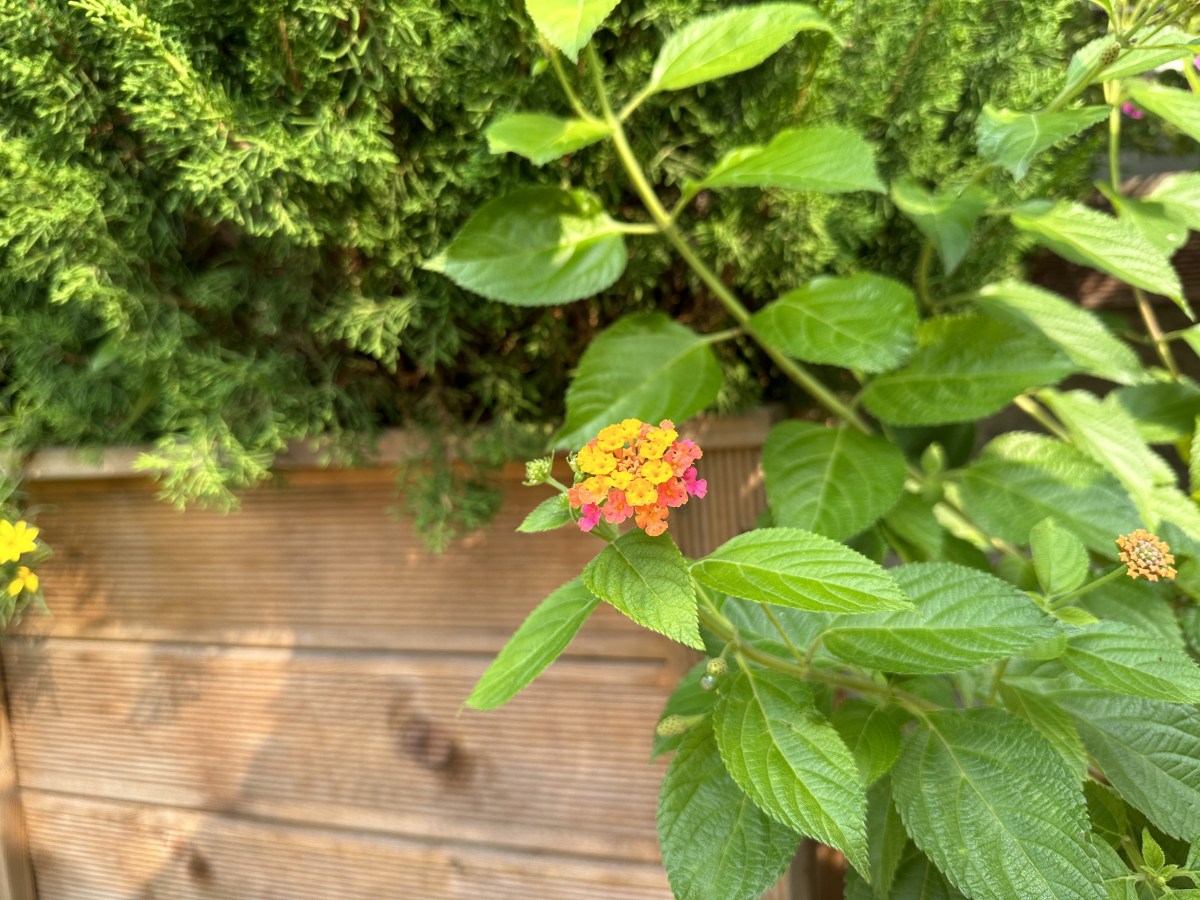 이미 무너진 폐허에서