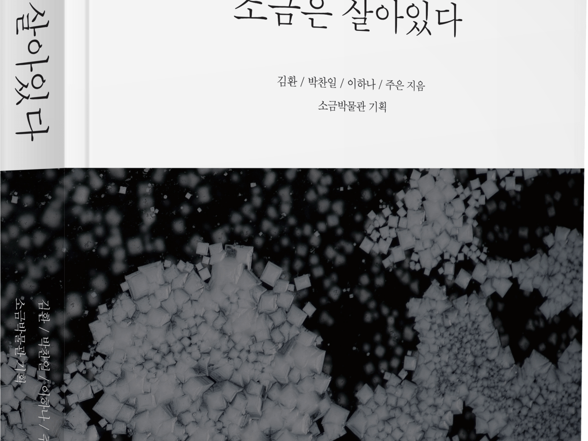 [신간]소금은 살아있다
